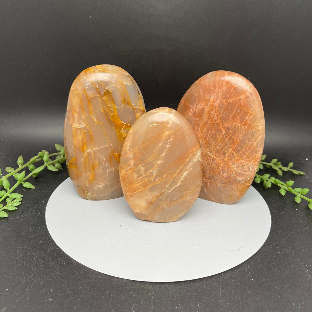 Orange hotsell Moonstone - Freeform